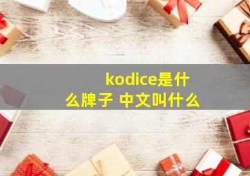 kodice是什么牌子 中文叫什么